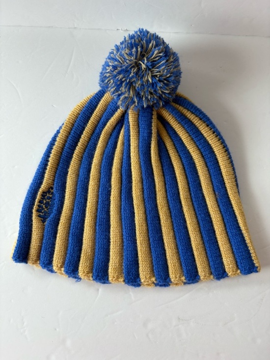 NWOT Free People FP Movement Alpine Pom Beanie main image 6